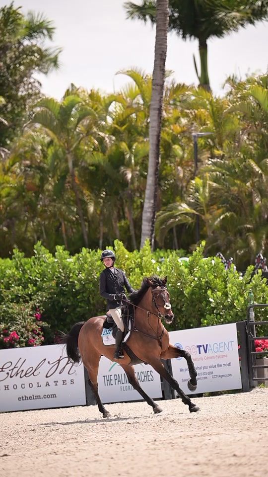 TikTok video thumbnail by clara.equestrian