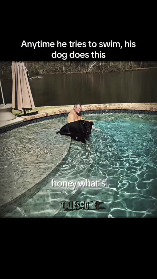 TikTok video thumbnail by tales_core_