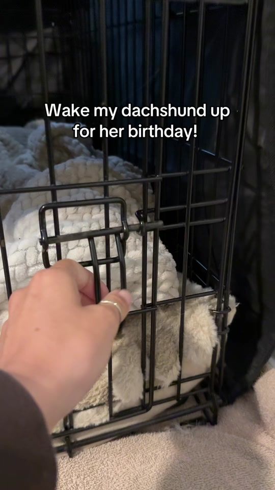 TikTok video thumbnail by billiebeantheween
