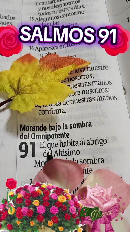 TikTok video thumbnail by la.hijadel.rey