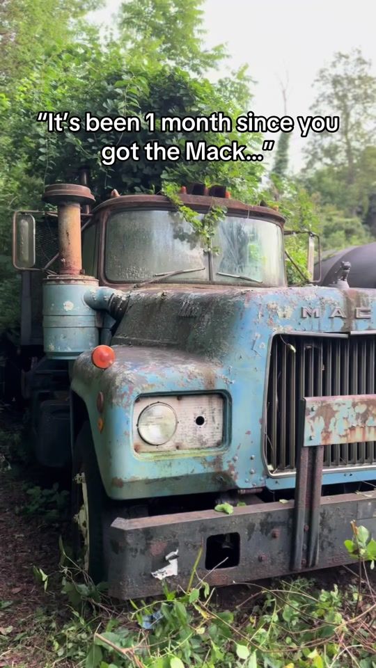 TikTok video thumbnail by jacksgarage55