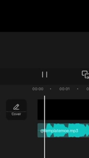 TikTok video thumbnail by _doolsetnettyr