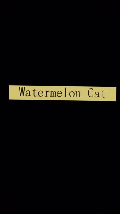 TikTok video thumbnail by watermelonkitty0