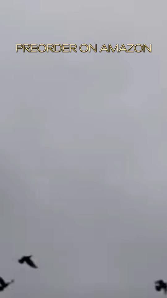 TikTok video thumbnail by crystalcrist.author