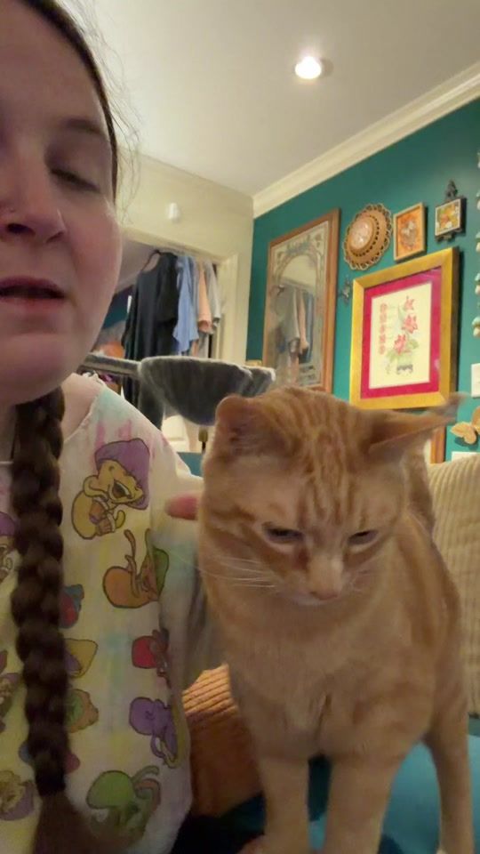 TikTok video thumbnail by catladytails