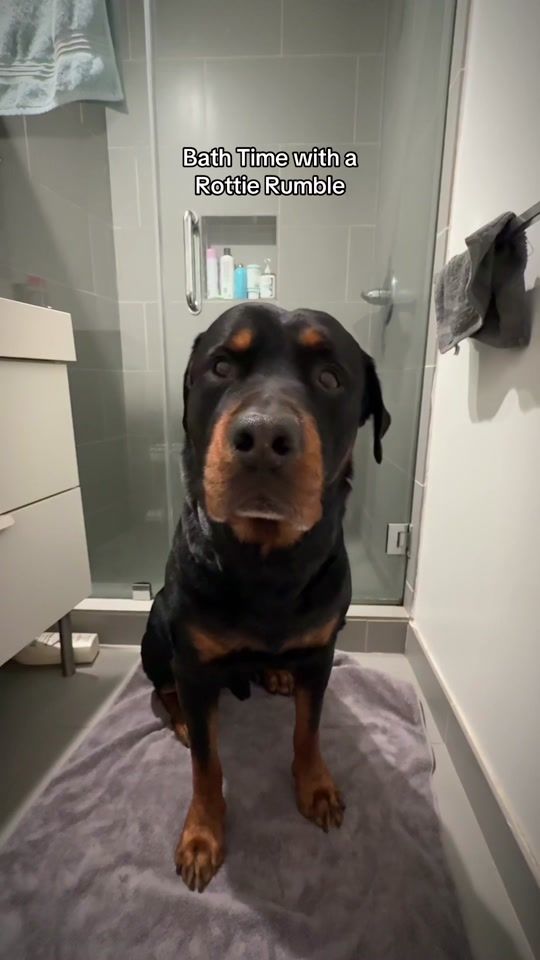 TikTok video thumbnail by sabrina.skyee