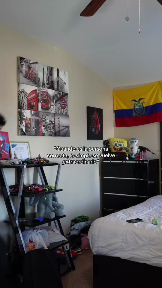 TikTok video thumbnail by brinstorres101