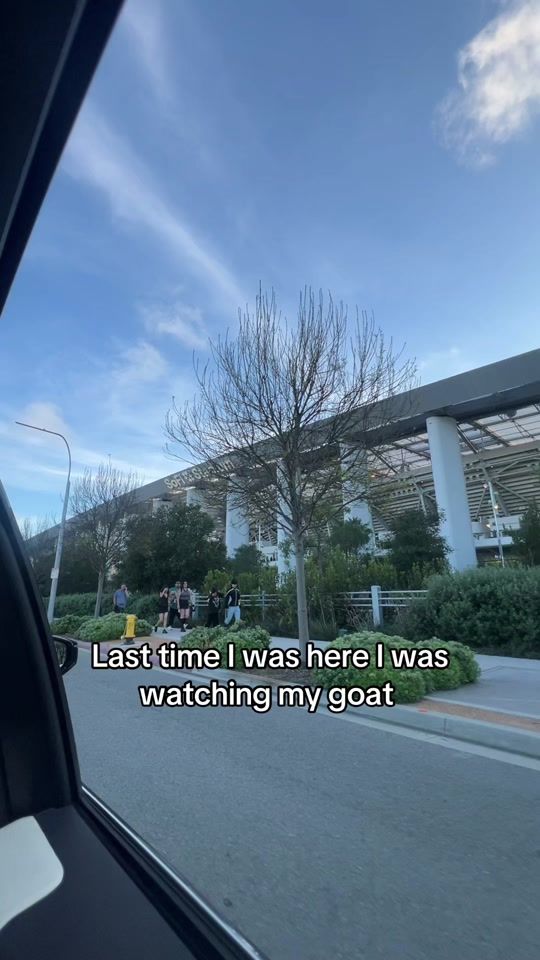 TikTok video thumbnail by pgelberxthlol