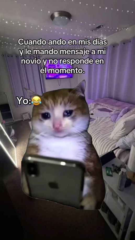 TikTok video thumbnail by foreveralone.obg