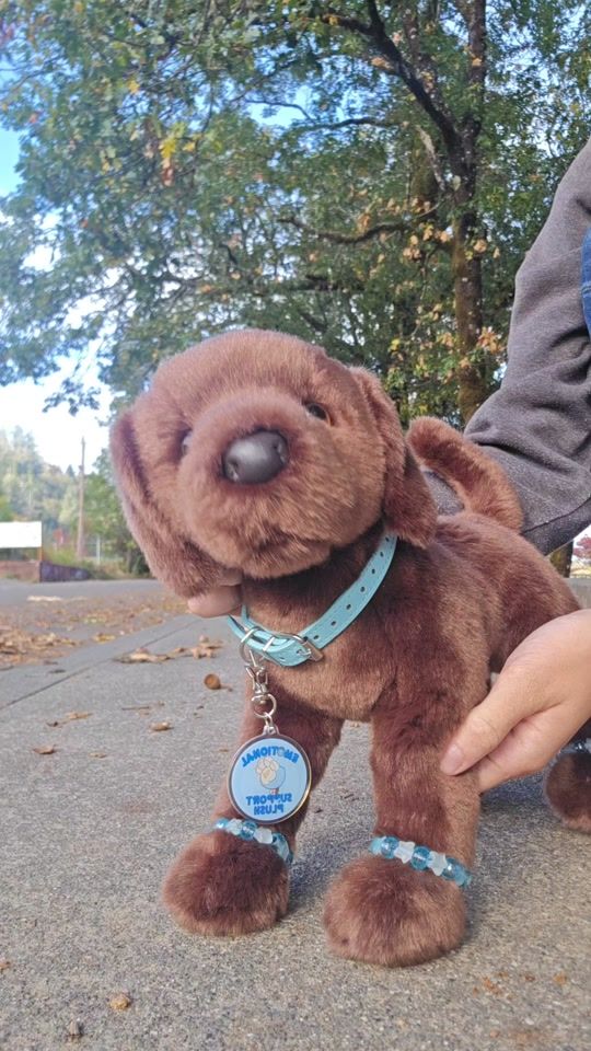 TikTok video thumbnail by rural_cuddle_critters