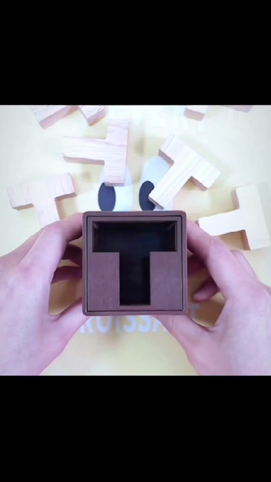 TikTok video thumbnail by experimentunlimit