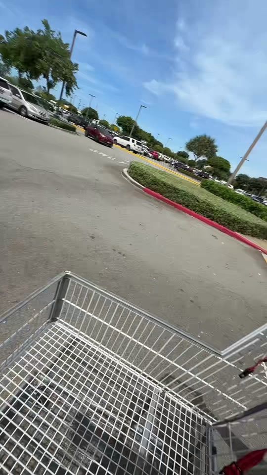 TikTok video thumbnail by fynestchina