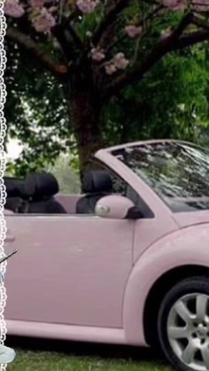 TikTok video thumbnail by swansecrettt