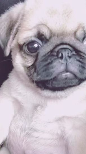 TikTok video thumbnail by vivii..i