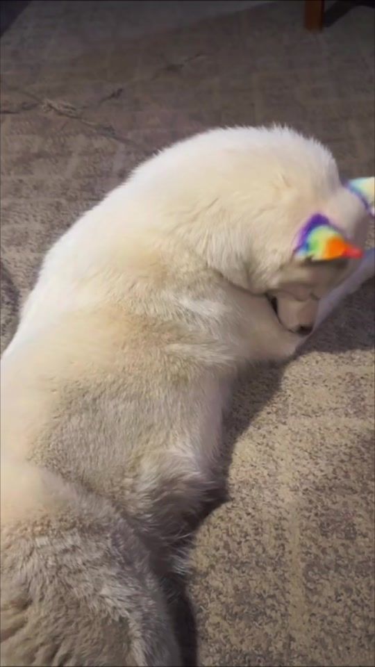 TikTok video thumbnail by ethancollins116