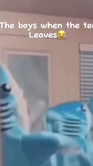 TikTok video thumbnail by wakeupbr3