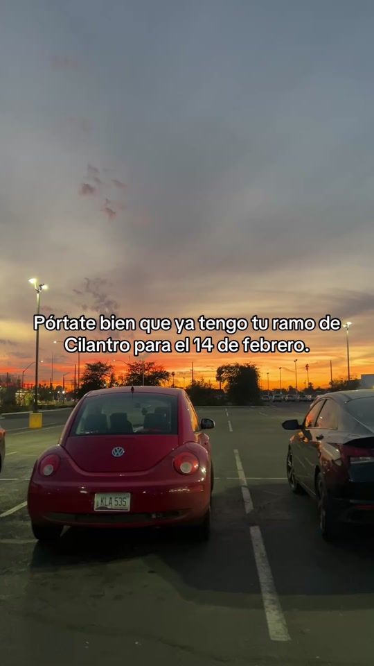 TikTok video thumbnail by cesarpz8