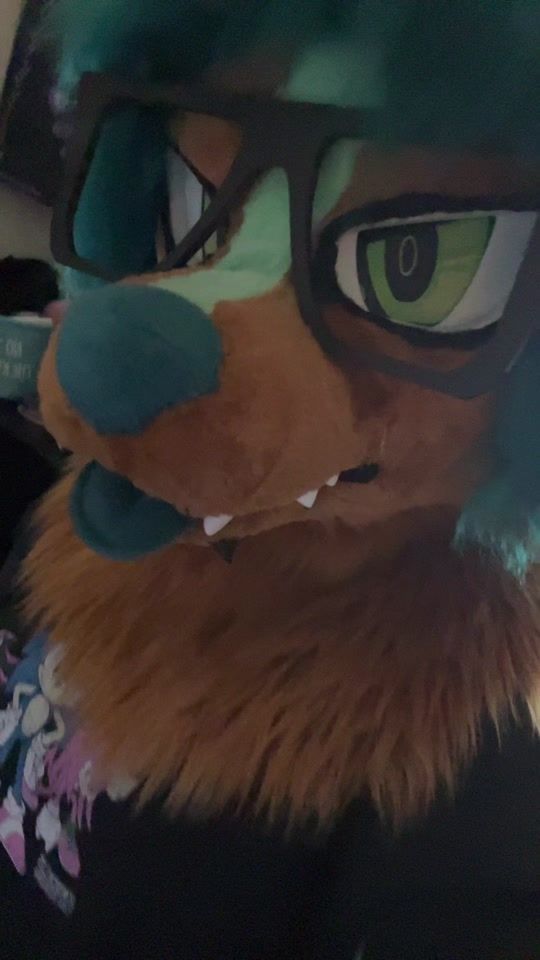 TikTok video thumbnail by wildfleas