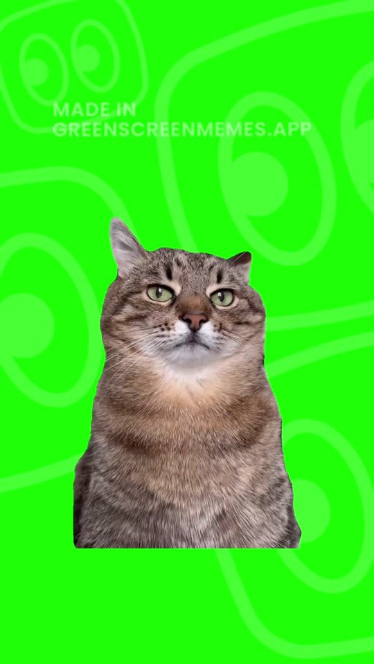 TikTok video thumbnail by greenscreenmemes.com