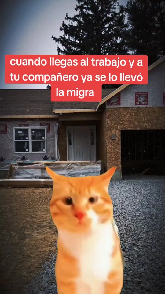 TikTok video thumbnail by 1723orellana