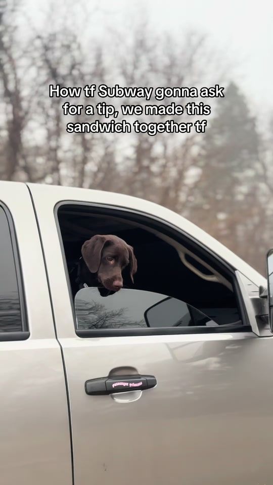 TikTok video thumbnail by shotzz_by_matt