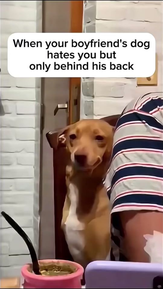 TikTok video thumbnail by miss.chievousss