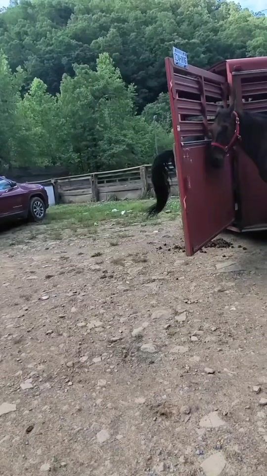 TikTok video thumbnail by martin_ace72