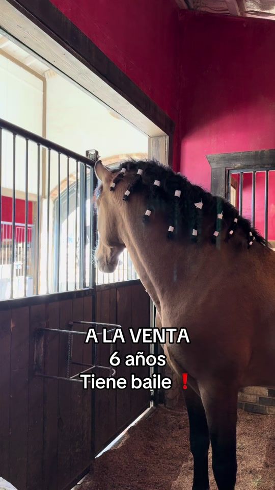 TikTok video thumbnail by rancho_vegaa