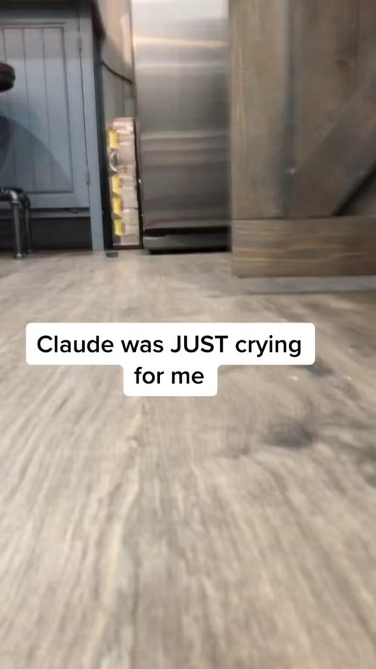 TikTok video thumbnail by gingerslunt