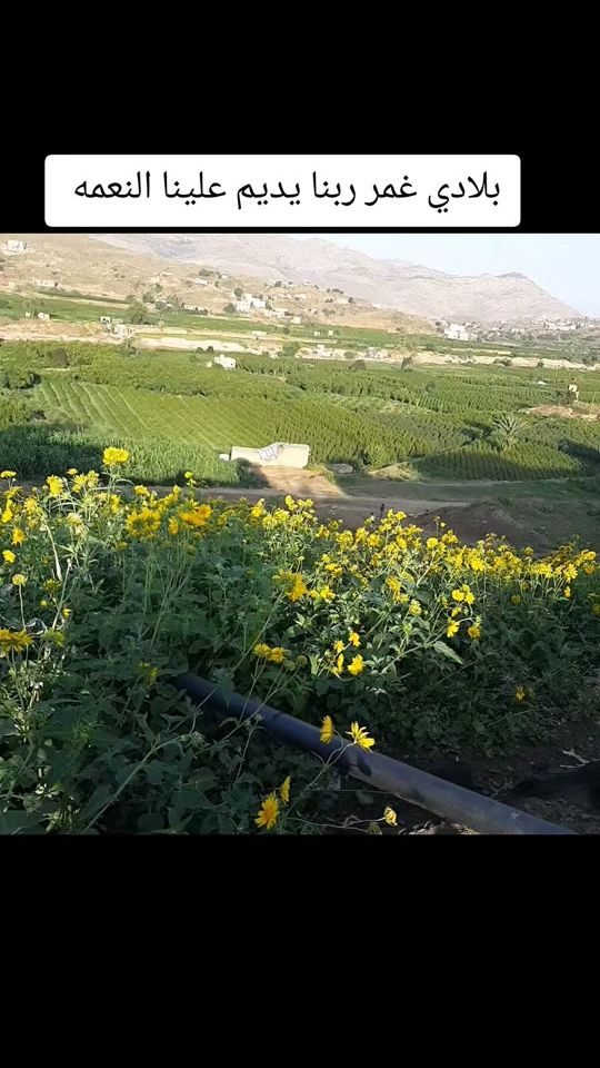 TikTok video thumbnail by m88t99