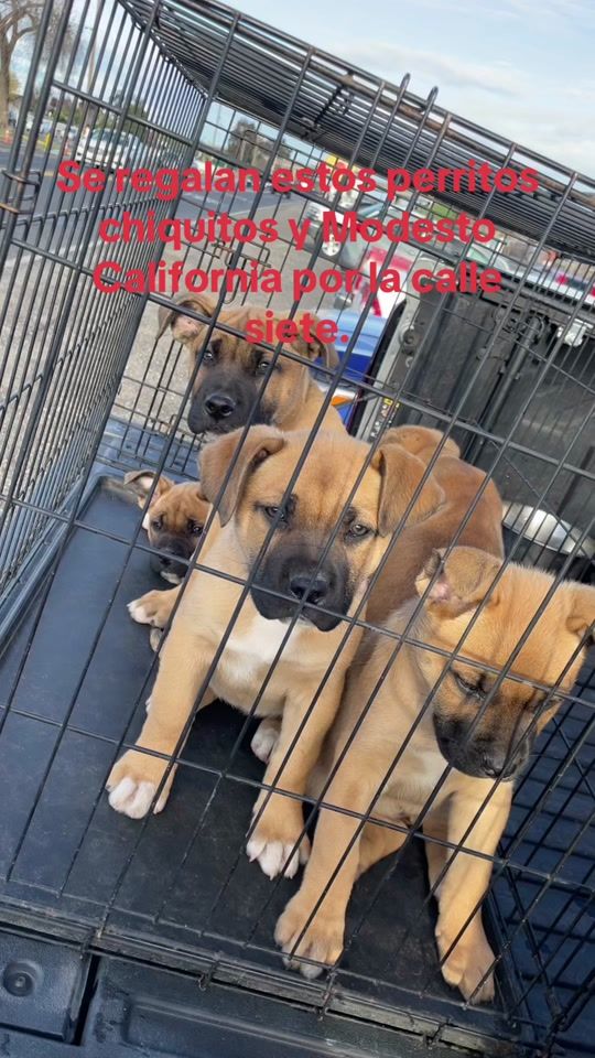 TikTok video thumbnail by eric.gmez88