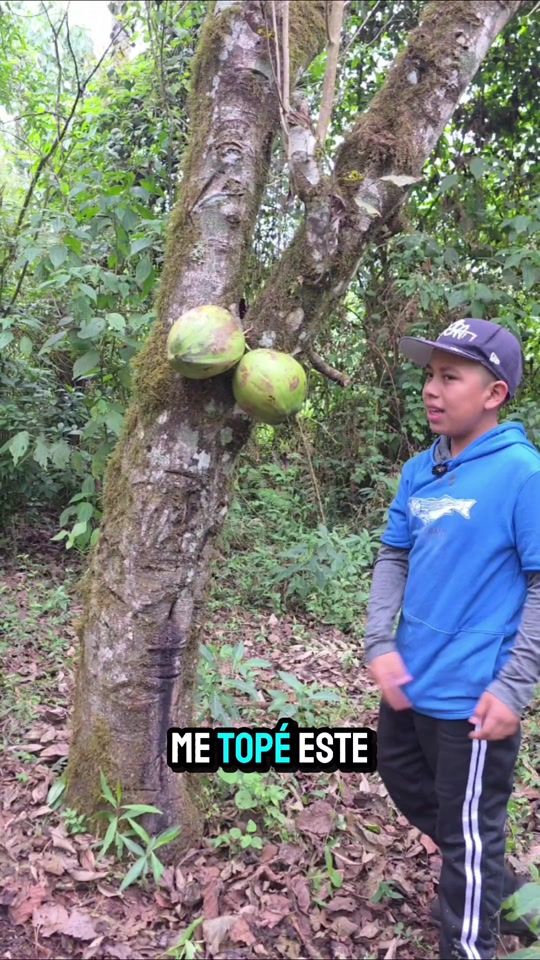TikTok video thumbnail by elias_ahilon