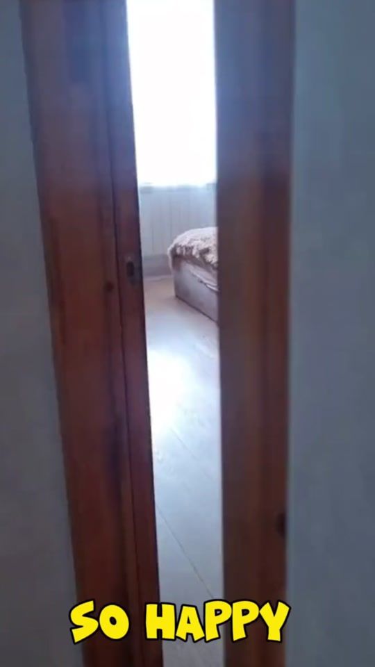 TikTok video thumbnail by peta.baby.time666