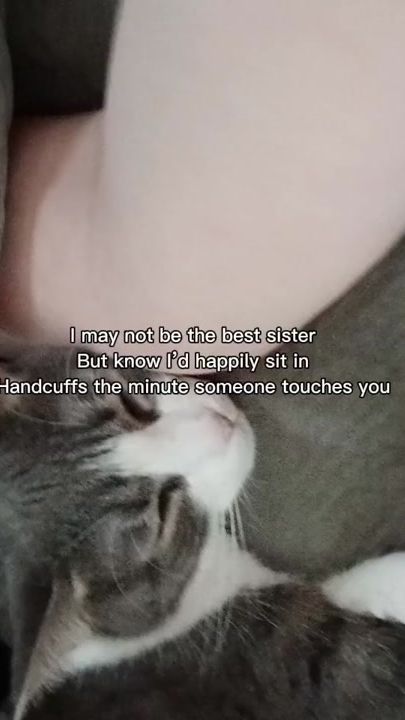 TikTok video thumbnail by carrigansisk0