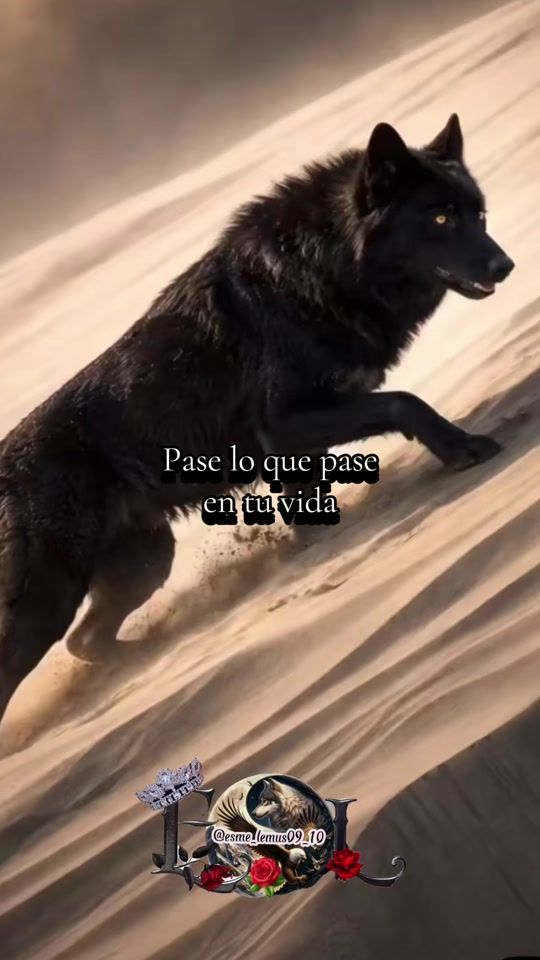 TikTok video thumbnail by esme_lemus09_10