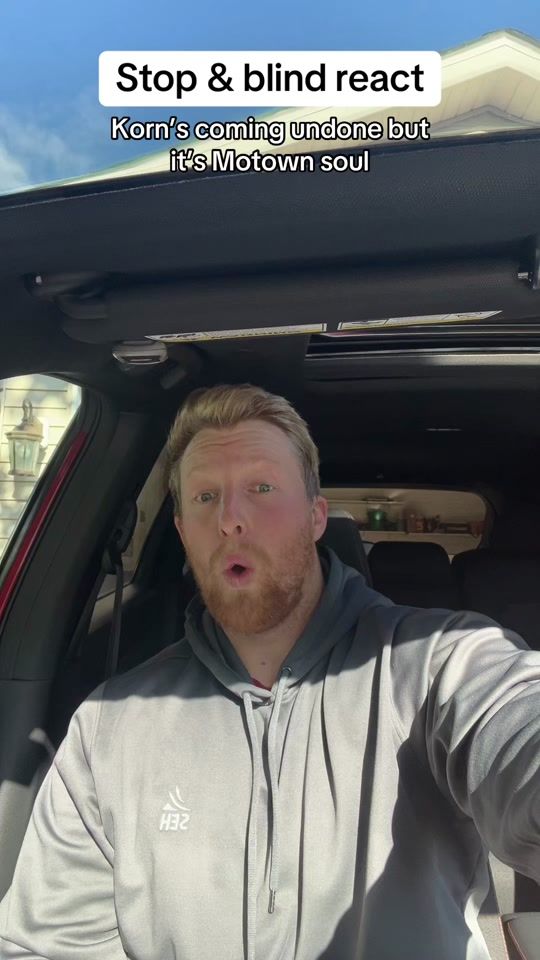 TikTok video thumbnail by potatosauraus