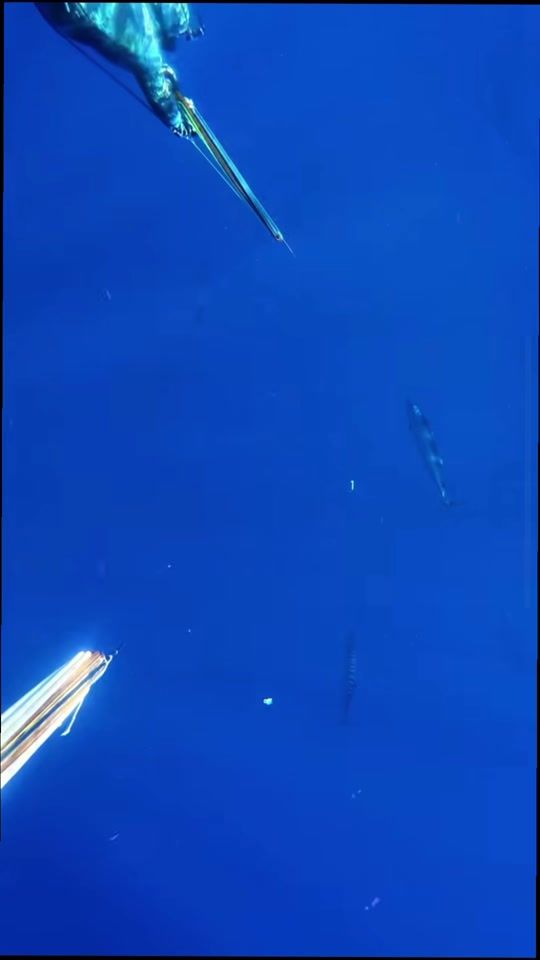 TikTok video thumbnail by dannychangg