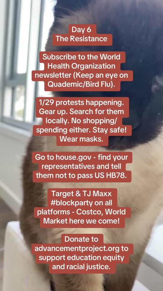 TikTok video thumbnail by casa_de_cats
