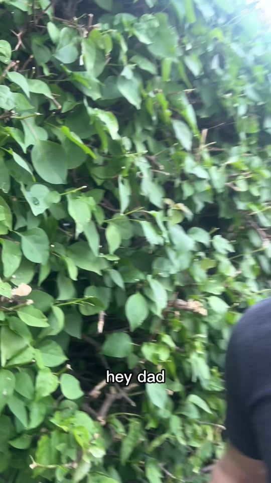 TikTok video thumbnail by jimmeskimen