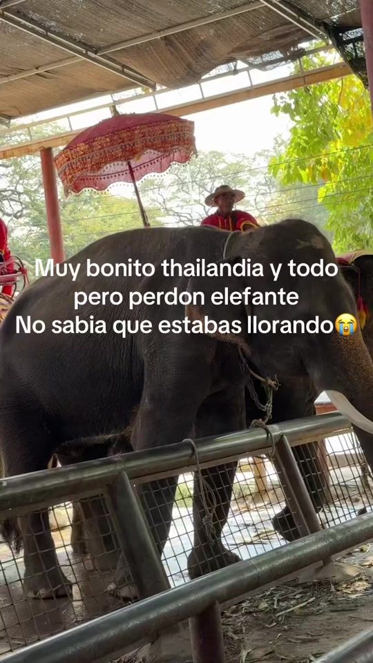 TikTok video thumbnail by cassandrasalido