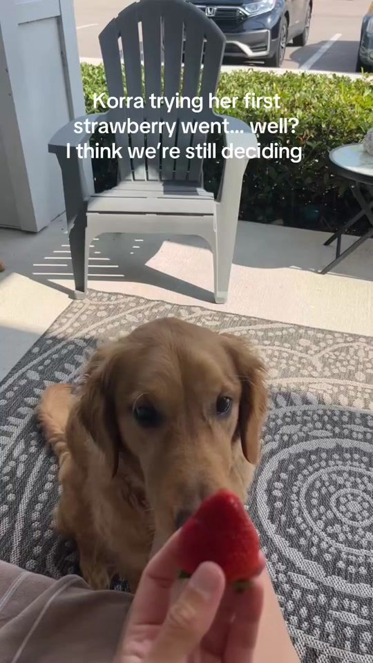 TikTok video thumbnail by kelsxsea