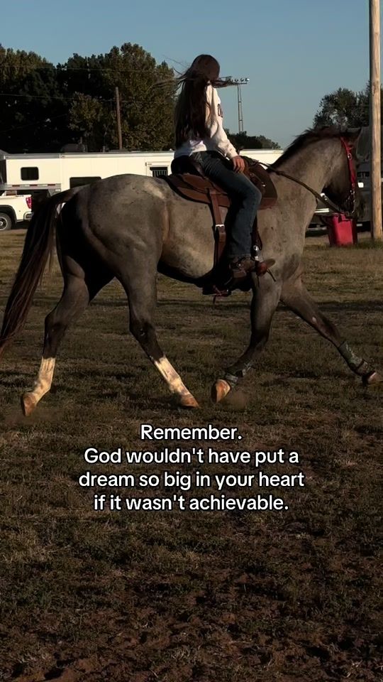 TikTok video thumbnail by ssperformancehorses