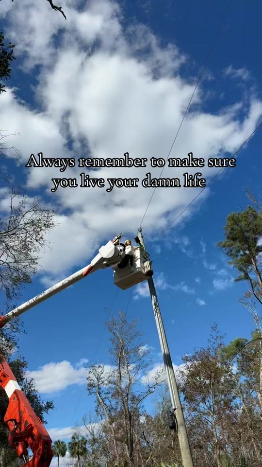 TikTok video thumbnail by evanbragg71