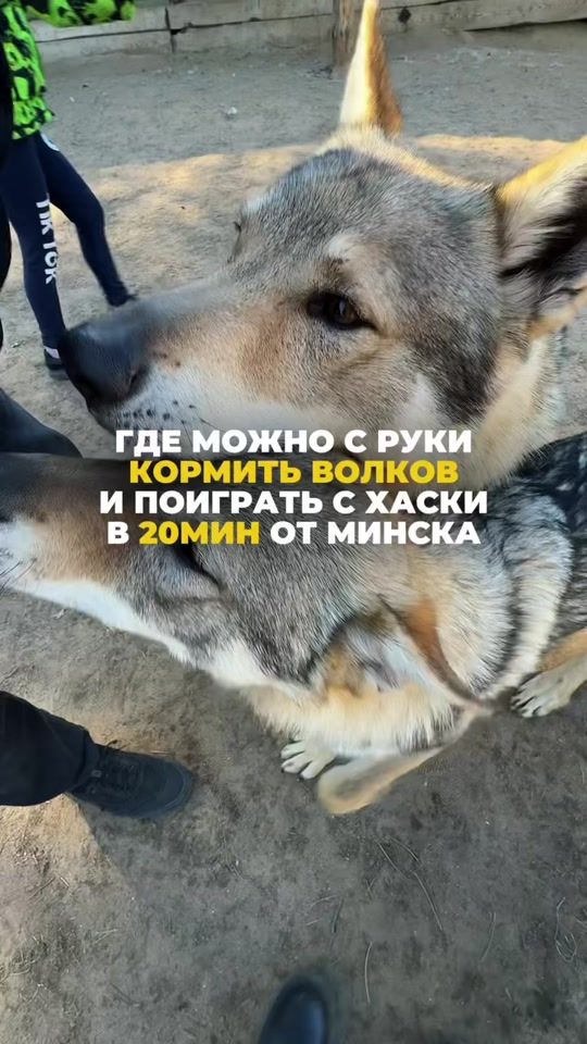 TikTok video thumbnail by kuda_minsk