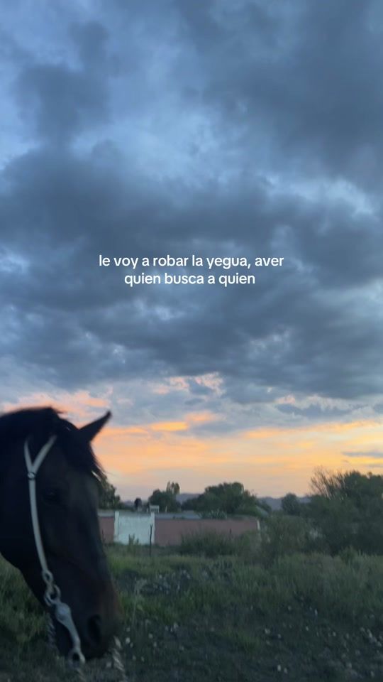 TikTok video thumbnail by siyed__