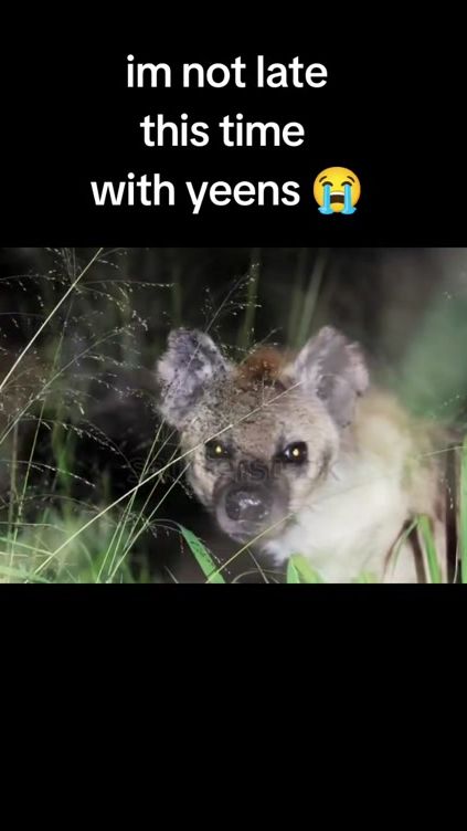 TikTok video thumbnail by abrahamtheyeen