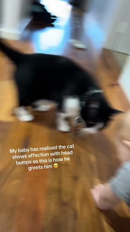 TikTok video thumbnail by lucy.flim1