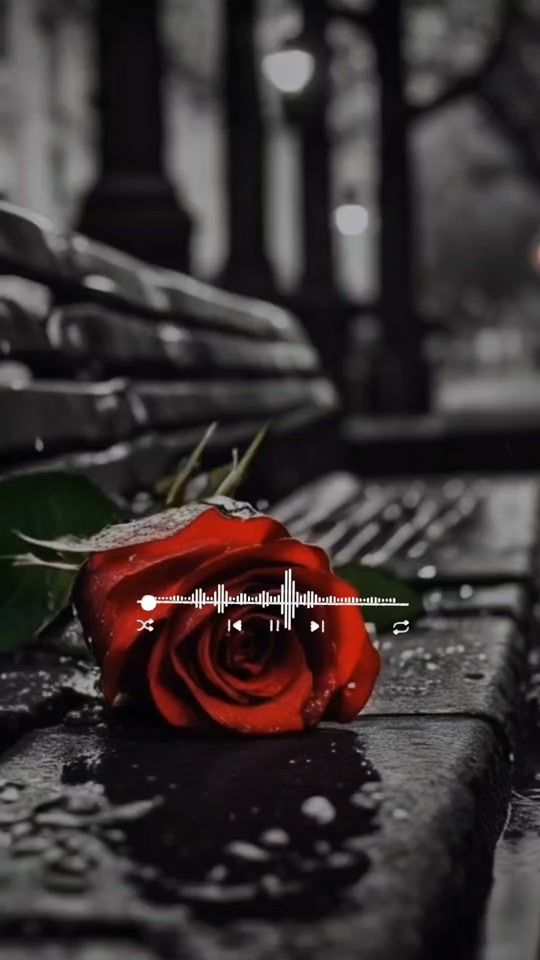 TikTok video thumbnail by rolitaslyrics08
