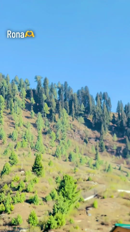 TikTok video thumbnail by mr.ahmad14387