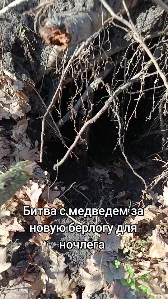 TikTok video thumbnail by losiajldxdr